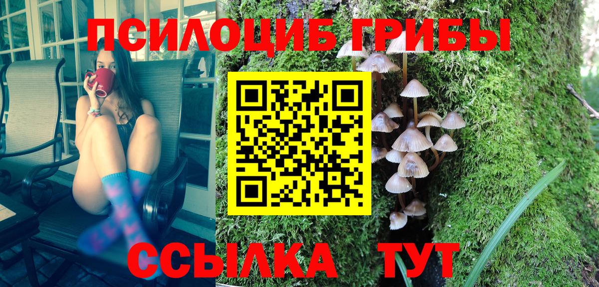 Псилоцибиновые грибы Psilocybine cubensis  Вход с VPN  Ивантеевка 